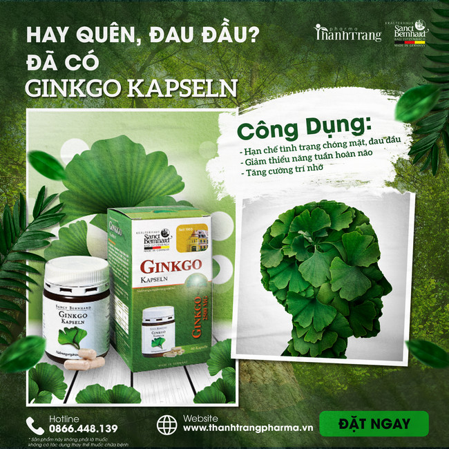 vien uong tang tuan hoan mau ginkgo kapseln