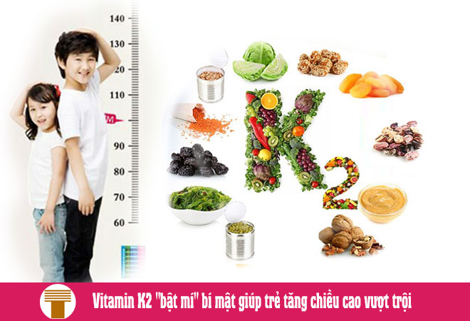 Hàm lượng vitamin K2 tốt trong cơ thể có liên quan tích cực đến sự tái hấp thu và hình thành xương