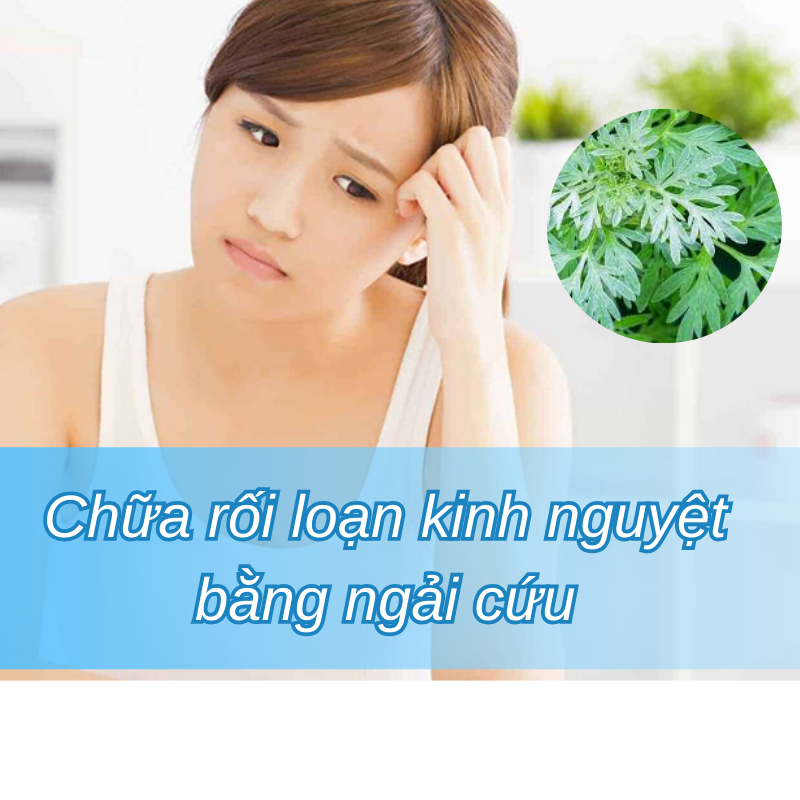 Chữa Rối Loạn Kinh Nguyệt Bằng Ngải Cứu: Phương Pháp Hiệu Quả Từ Thiên Nhiên