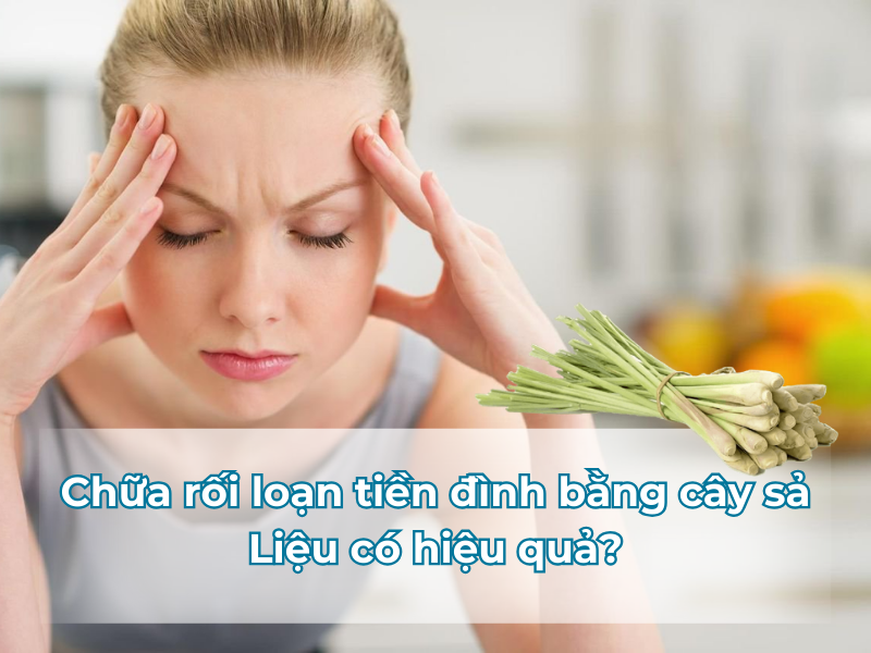 Chữa rối loạn tiền đình bằng cây sả - liệu có hiệu quả?