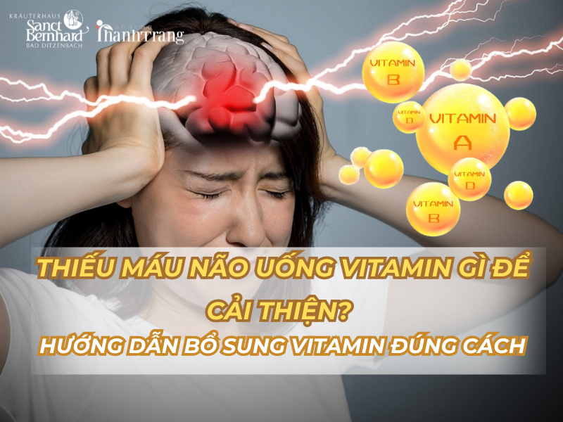 Thiếu Máu Não Uống Vitamin Gì Để Cải Thiện? Hướng Dẫn Bổ Sung Vitamin Đúng Cách