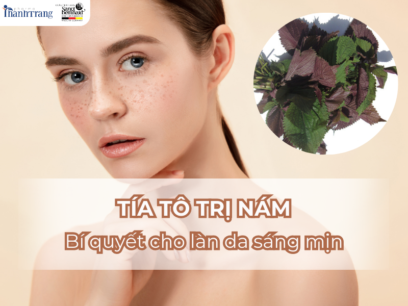 Tía tô trị nám - Bí quyết cho làn da sáng mịn