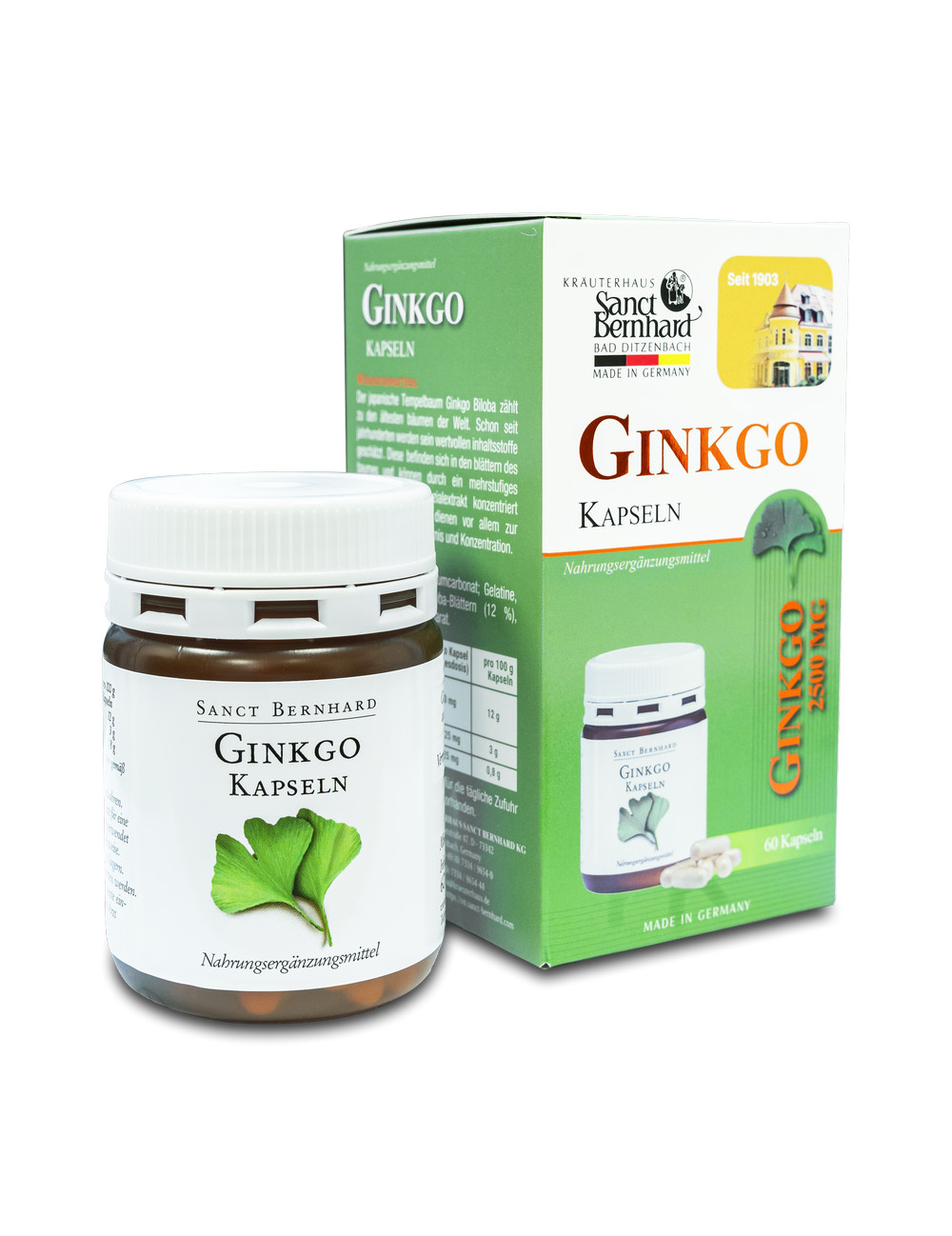 VIÊN UỐNG BỔ NÃO LÁ BẠCH QUẢ GINKGO KAPSELN