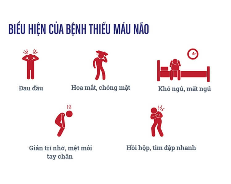 THIẾU MÃU NÃO LÀ GÌ? LÀM SAO ĐỂ PHÁT HIỆN VÀ NGĂN CHẶN