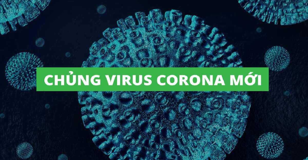 TIN NÓNG: Phát hiện chủng virus biến thể mới SARS-CoV-2 ở nước Anh trên người BN1660