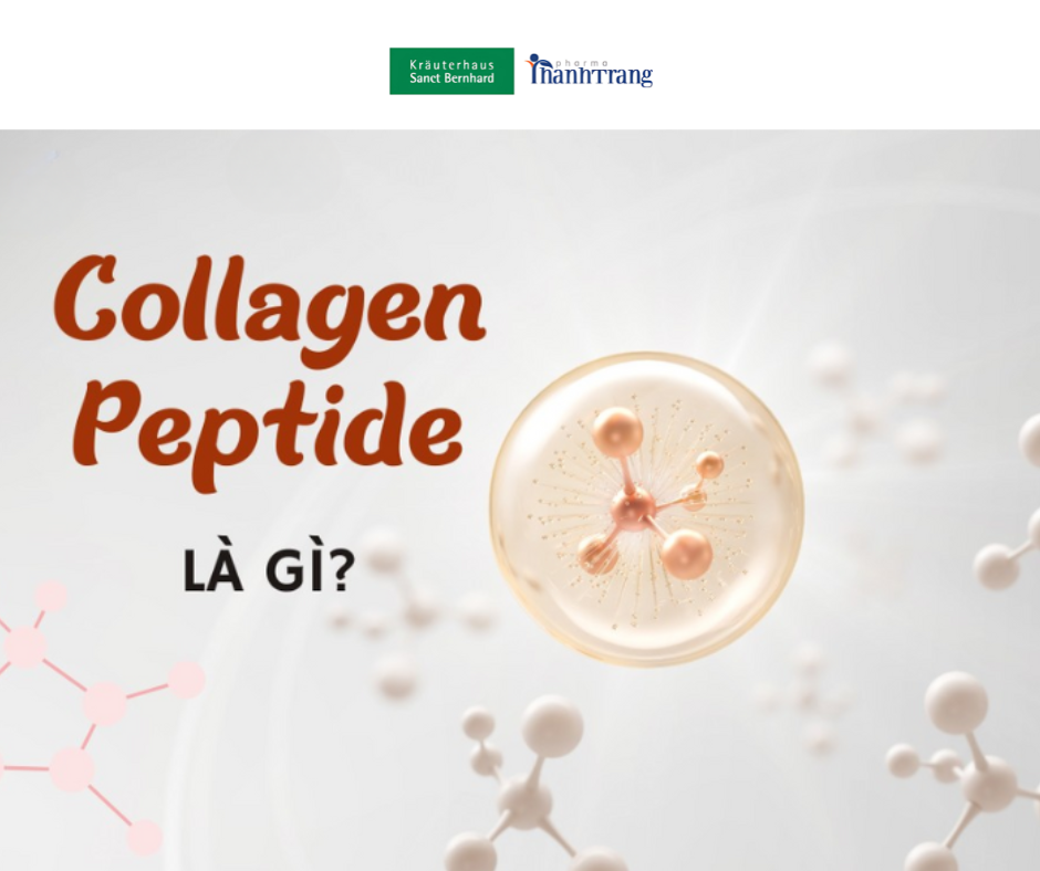 Collagen Peptide là gì? Tác dụng và nguồn gốc